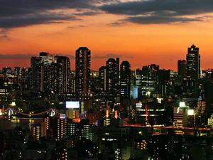 ������̖�i